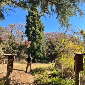 ユーザーピーちゃん