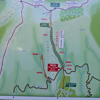 駐車場まで無事に下山しました♪
駐車場には…よたろう号のみ！
今日は、たまたま誰も居なかったのでしょう😧
この先(下)にも、横岳登山口駐車場があります♪