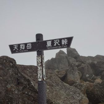 箕冠（みかぶり）山山頂。たぶん。