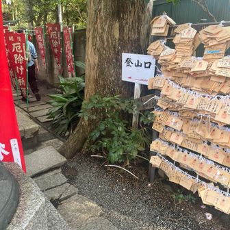 痛みがひどくなるなら予定変更してタクシーで帰ろうと相方さん🚕

悔しいので､少し歩いてみてからとワガママを通し︎( ¨̯ )

祇園山の登山口は八雲神社の社の細い脇から入ります🐈‍⬛