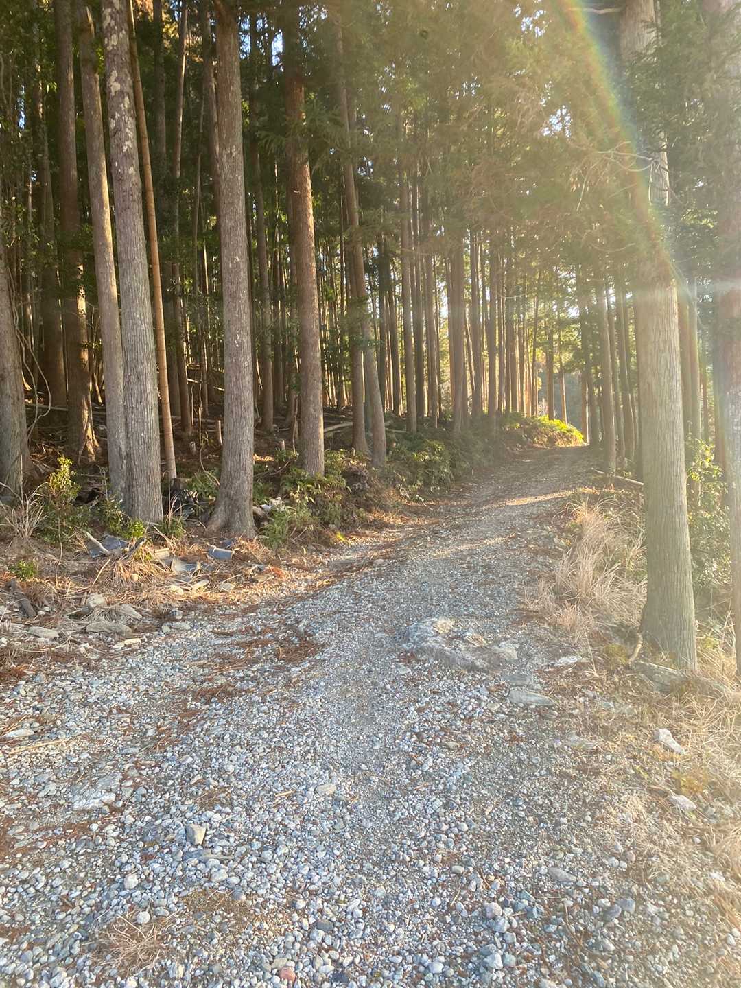 藤コース登山口-七洞岳 往復コースの写真