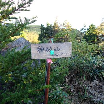 まずは神坂山ゲット