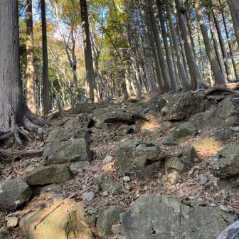 岩ゴロゴロも少しだけあります