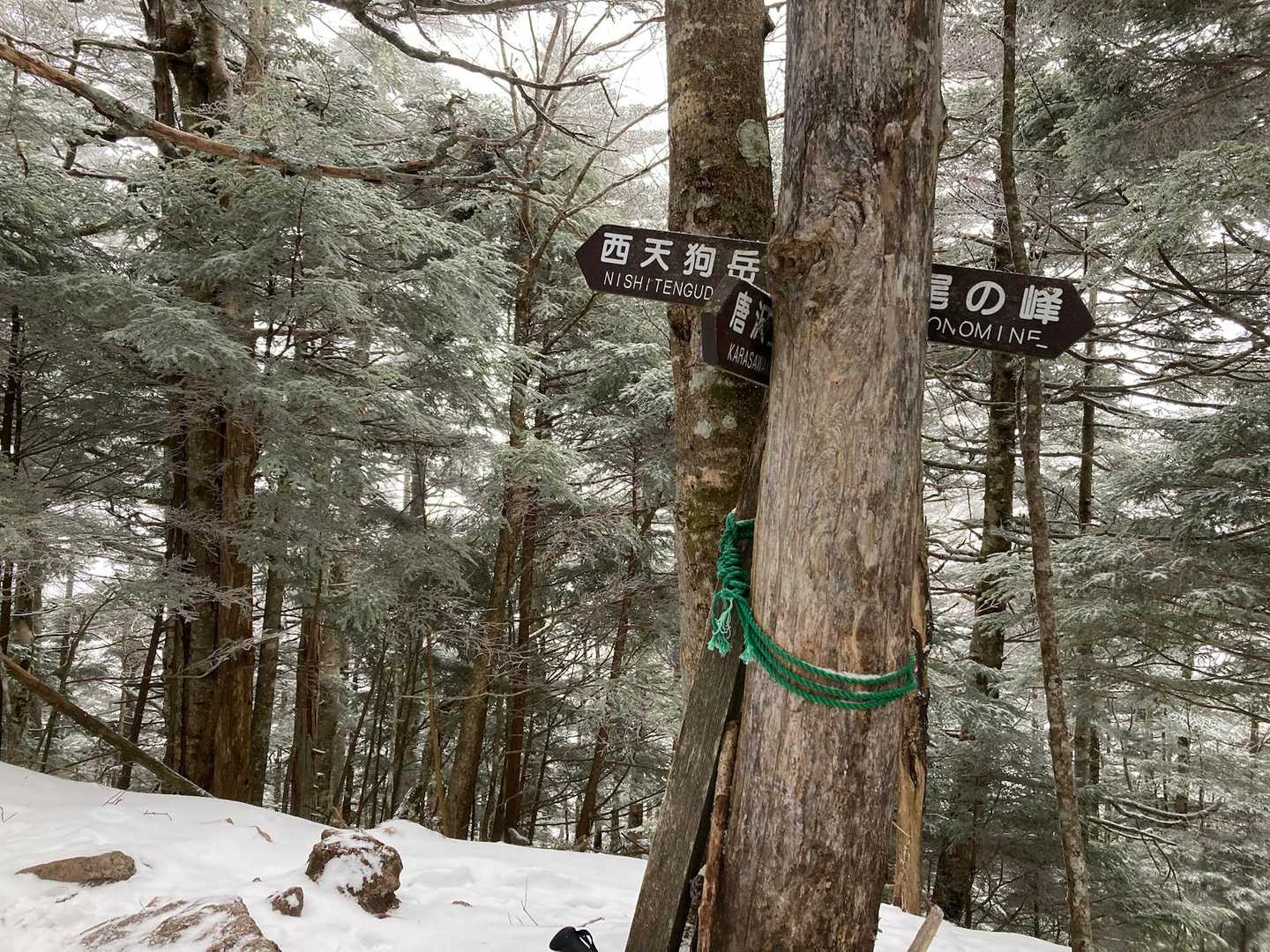 天狗岳（唐沢鉱泉）＜西尾根＞の写真