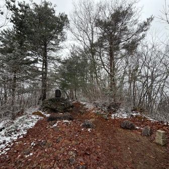 松と石碑と三角点