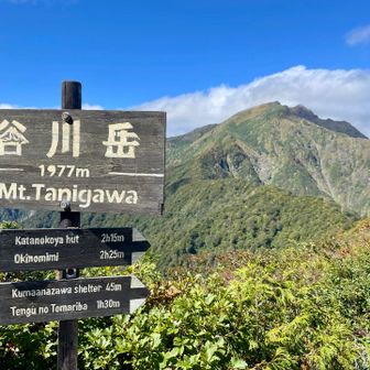 リフト乗り場横には写真スポット📸
こちらは観光客の人がいっぱい🈵