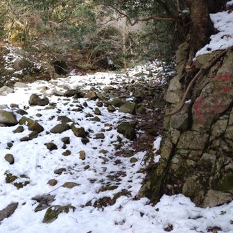 ここは分かりづらい。一旦折り返して沢沿いを行く