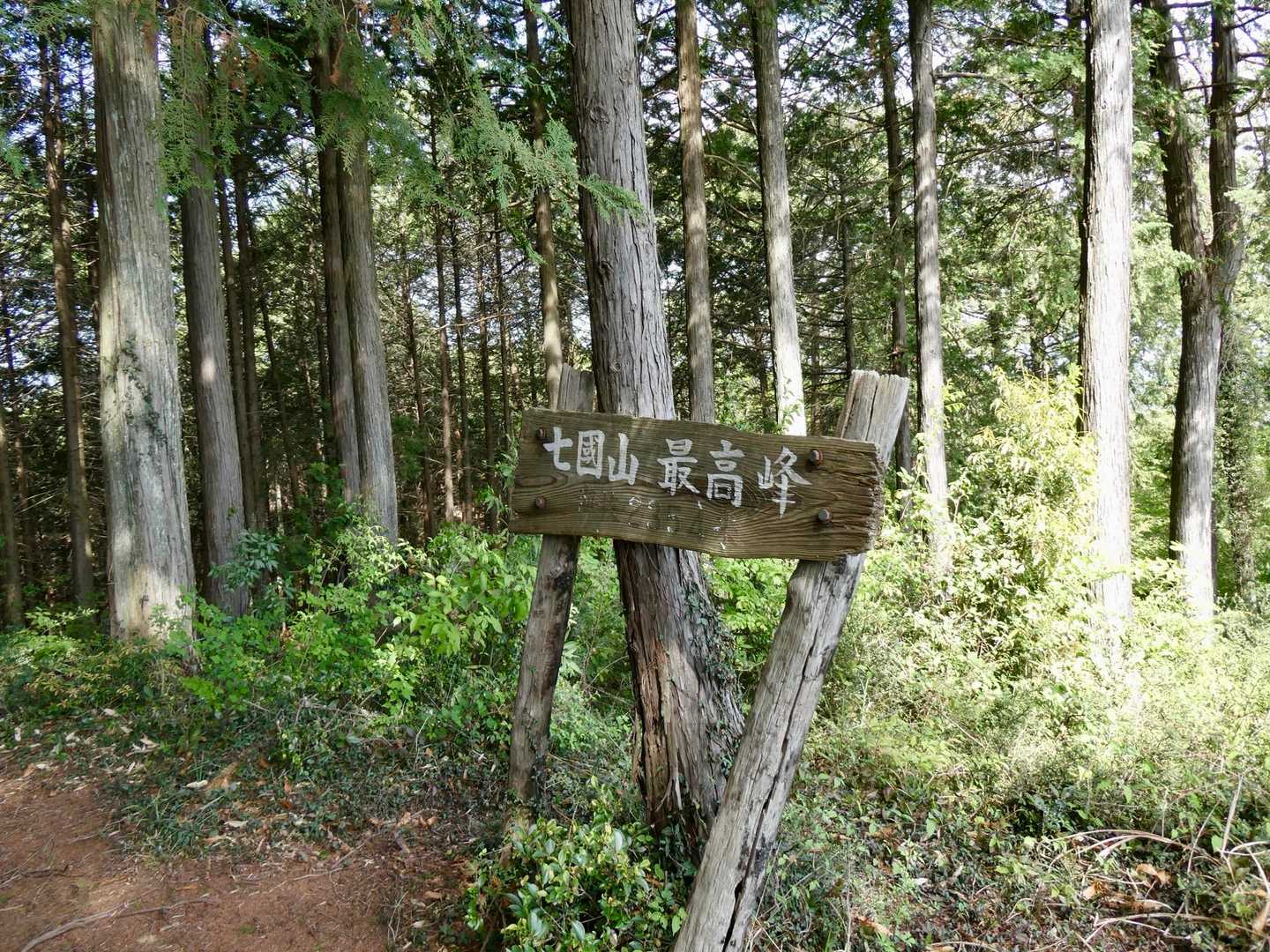 はい山頂🙂‍↕️