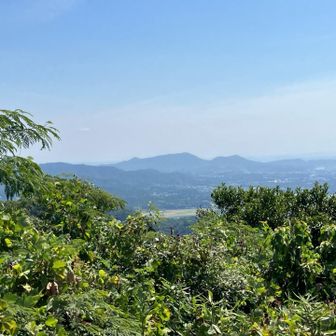 大山はちょっと見えませんでしたが