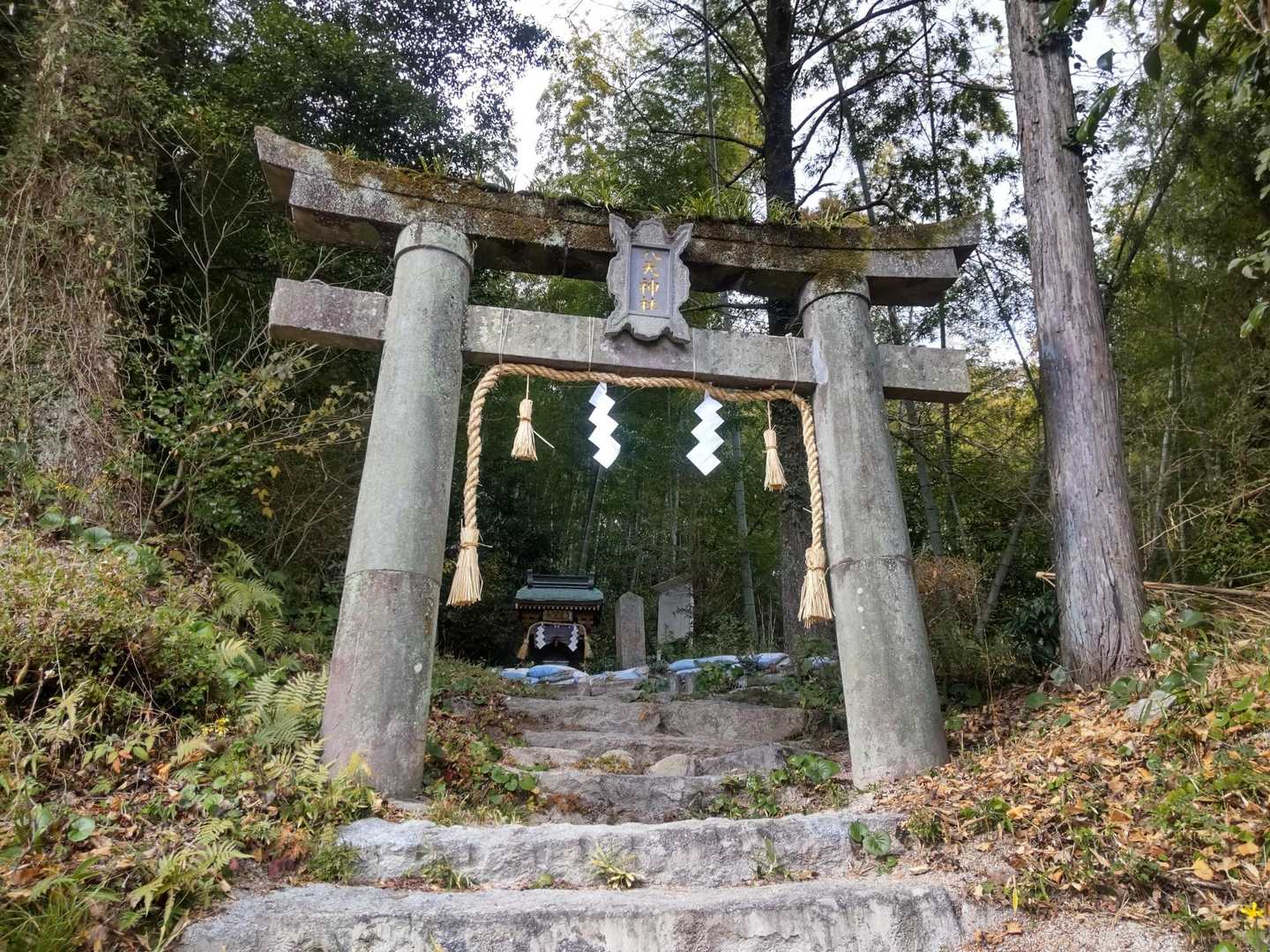 登山口は神社の奥。