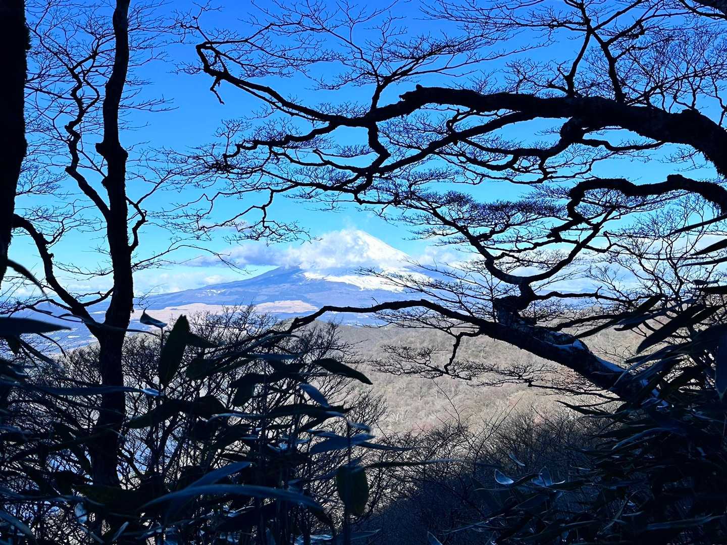 防ヶ沢登山口-駒ヶ岳頂上駅-駒ヶ岳 往復コースの写真