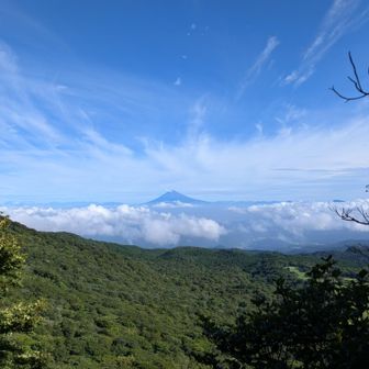 万二郎岳山頂の少し手前から、富士山がきれいに見えました。