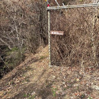 ここが分かりにくかった！
鉄塔に向かって左に登山道があります。