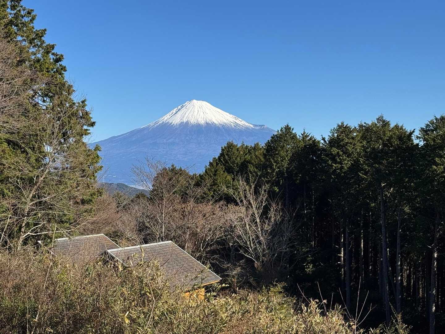 三本松から見る富士山🗻
