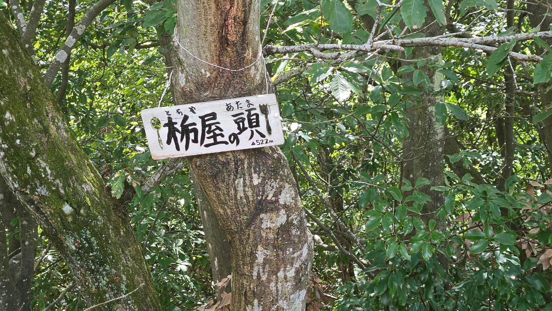栃屋の頭
