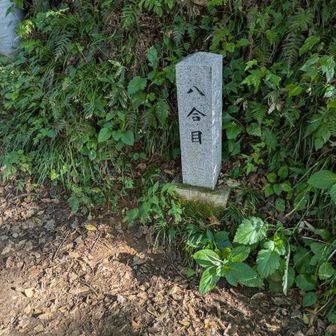 八合目