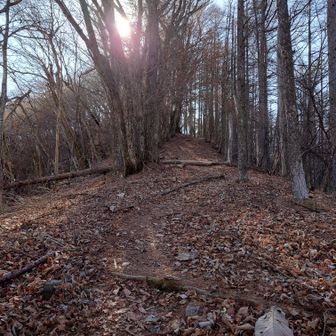 相定ヶ峰山頂へのアプローチ