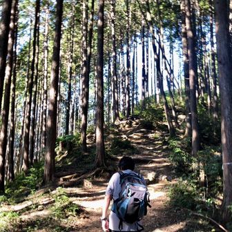 リゾートハイカー