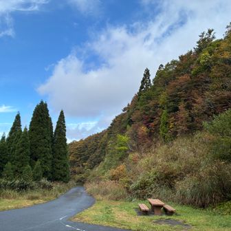 紅葉始まってますよ！