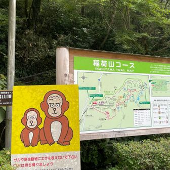 戻ってきました〜