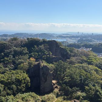 展望台からの眺め
