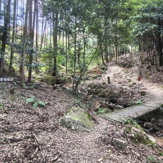 先の蔵王山の疲労が抜けず、普段よりしんどいなぁ…😖
