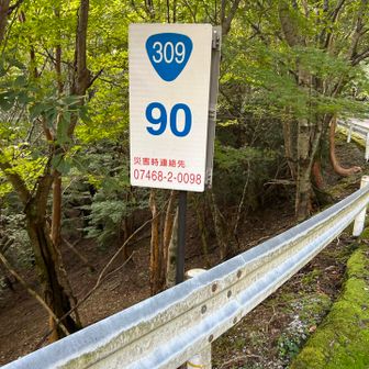 90番から出発🐾
車4台しか停まっていませんでした