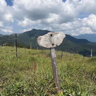 ここも結構長かった…