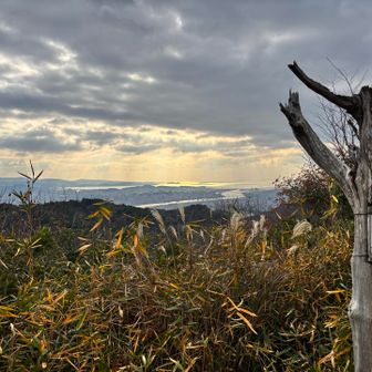 見返山。温度計6.5℃を示してました。風もないし、全然寒くないっす。
