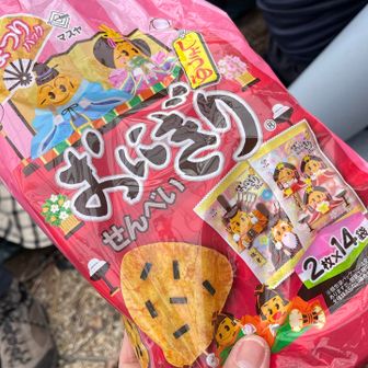 お雛様柄はお買い得🎎