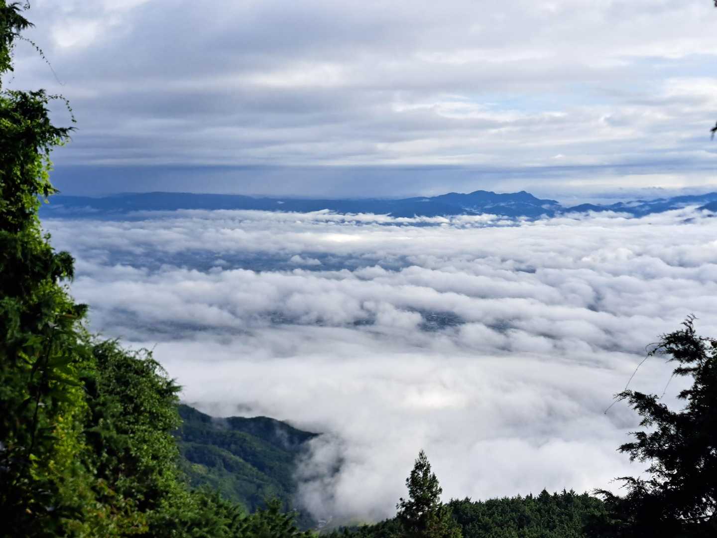 雨上がり 雲海