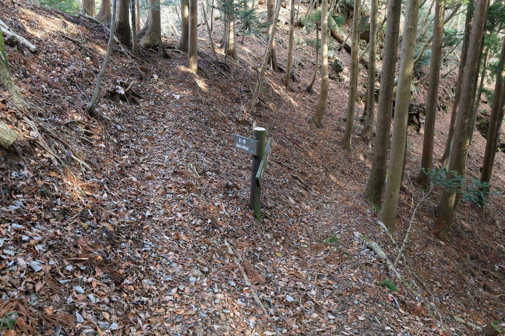 高畑山への分岐。
右へ行けば巻けますが、バスの時間まで余裕があるので登ってみます。5分くらいなので。