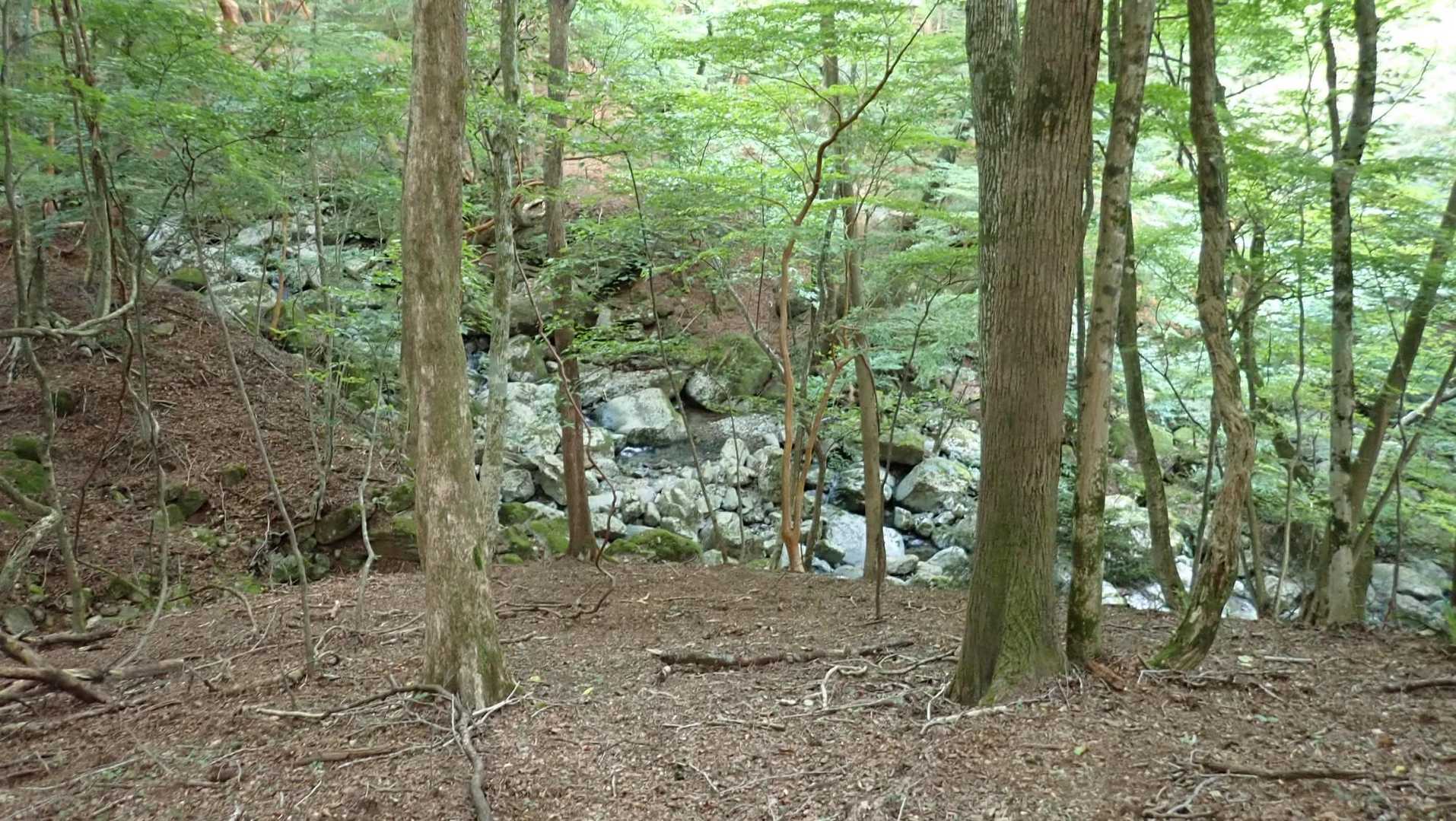 川が近いと涼しい。