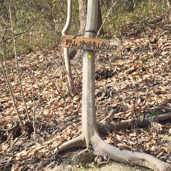 ここから上がる