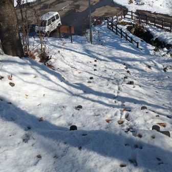 雪に埋もれた階段をゆっくり降りていきます。