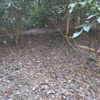 大興善寺方面へ。次来るときはこちらから来ようかなぁ