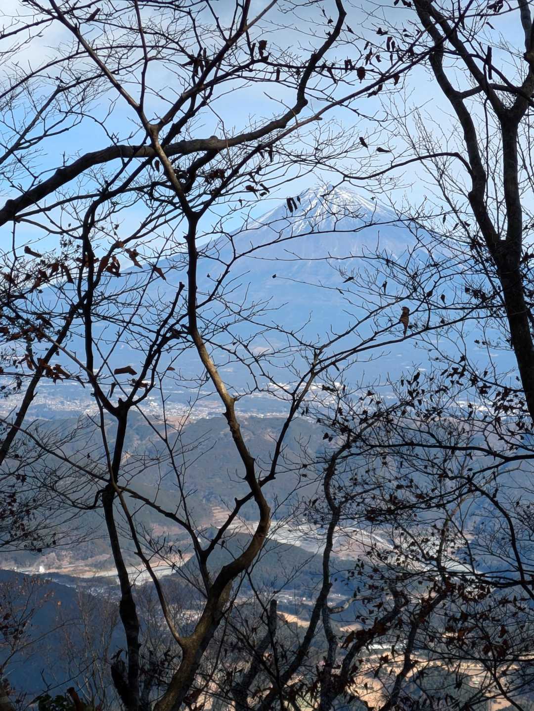 下山中、左手側になんとか富士山が見えるポイントを探しますが、ないですねぇ。
平治の段の方面にある晴海展望台に行けば、富士山は見えるはずですが。。