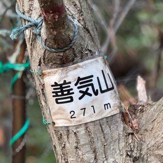 二つのピークを通るルートで！