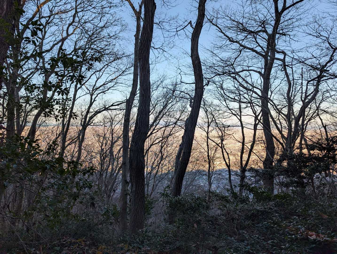 今年も初日の出が見れて良かった☺