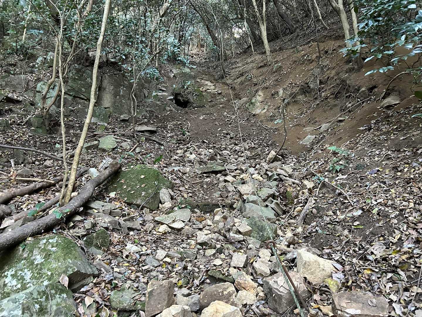 次はリカバリー登山⛰️
巻き道使わず、急登コース！