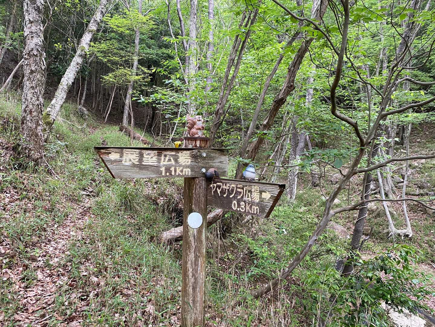 人形が沢山ありました🐿