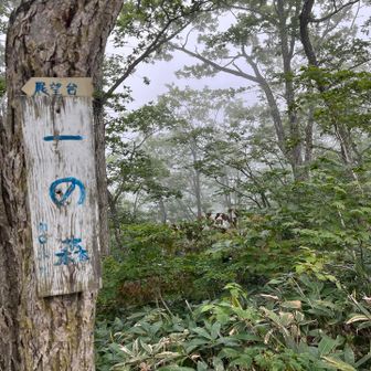 一の森着
謎鎖の木から
私      158歩
次女  162歩
