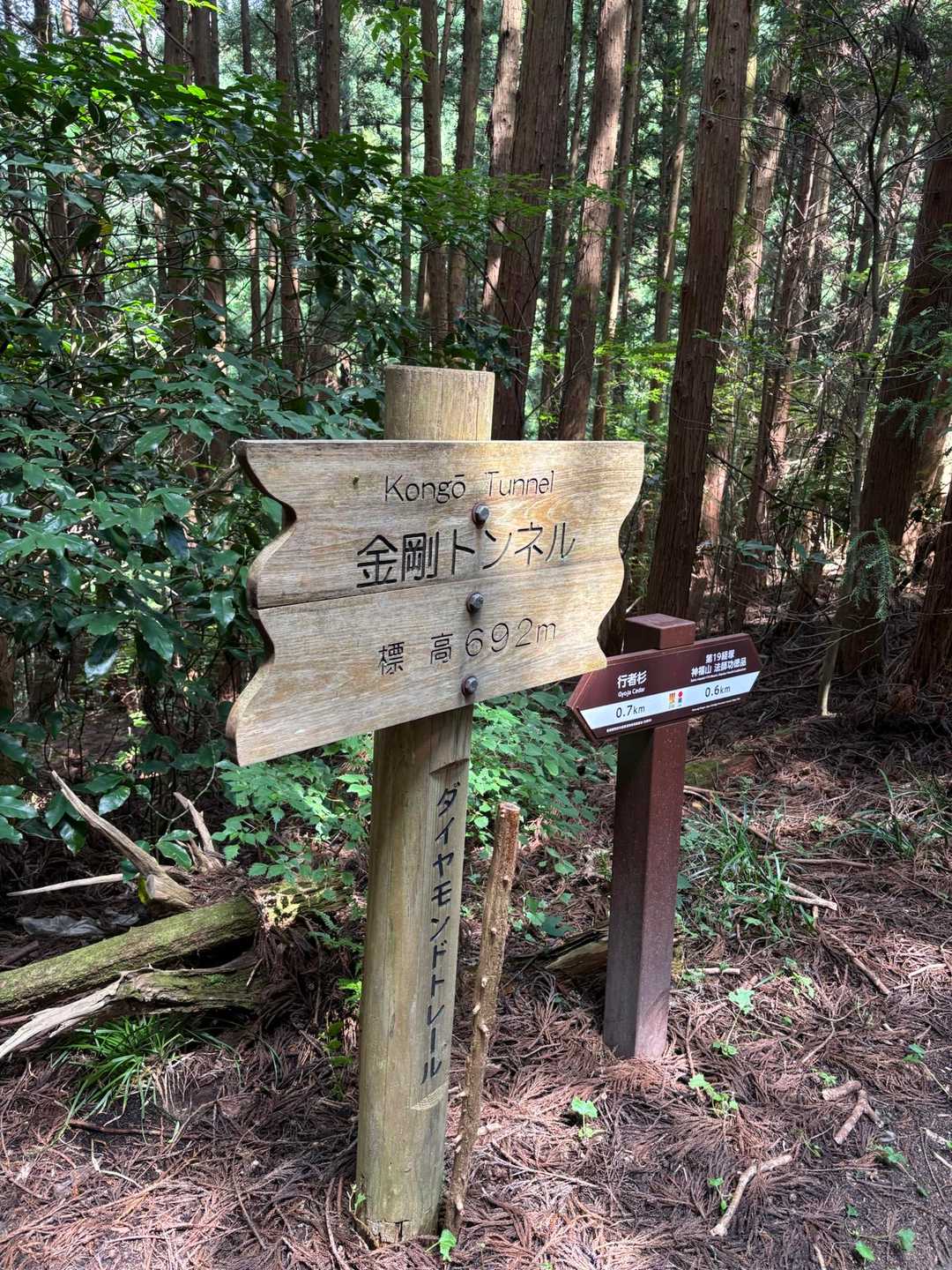 百ヶ辻登山口-久留野峠-中葛城山-高谷山-千早峠-谷尻峠- 縦走コースの写真