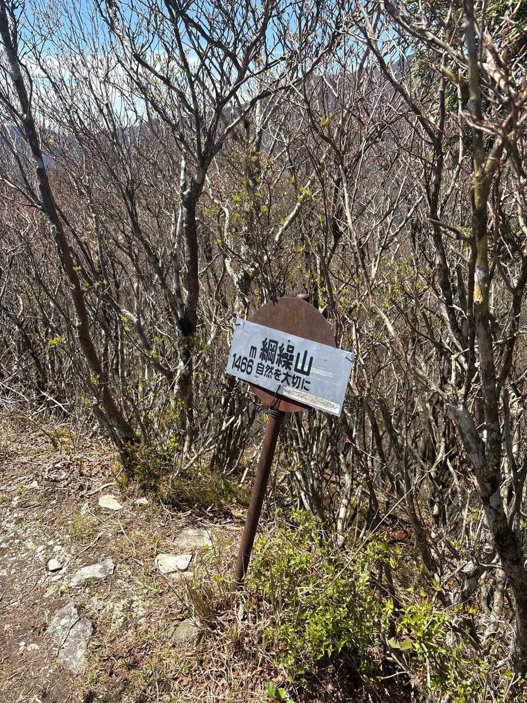 急登後はあっさり山頂です