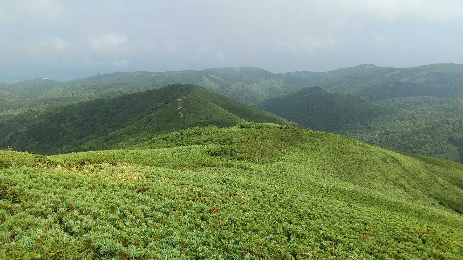 礼文岳登山口-礼文岳 往復コースの写真