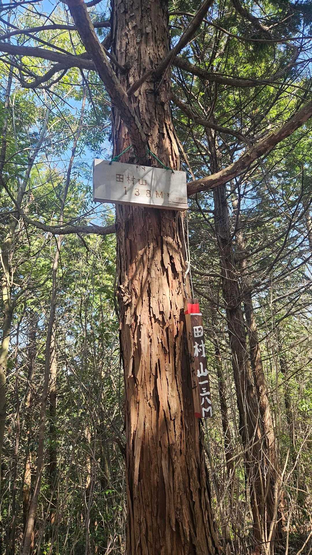 田村山 往復コースの写真