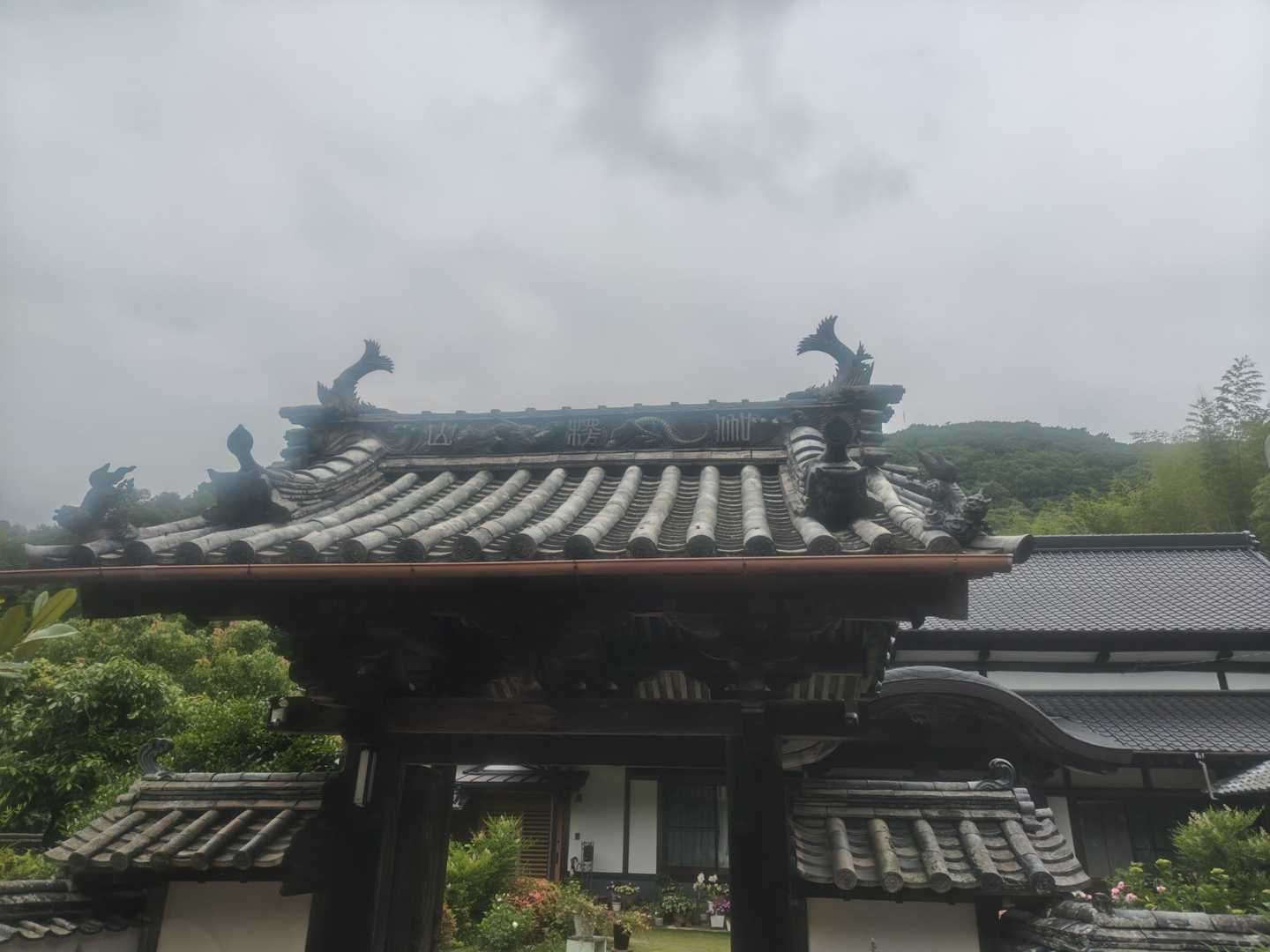 伽藍山 往復コースの写真