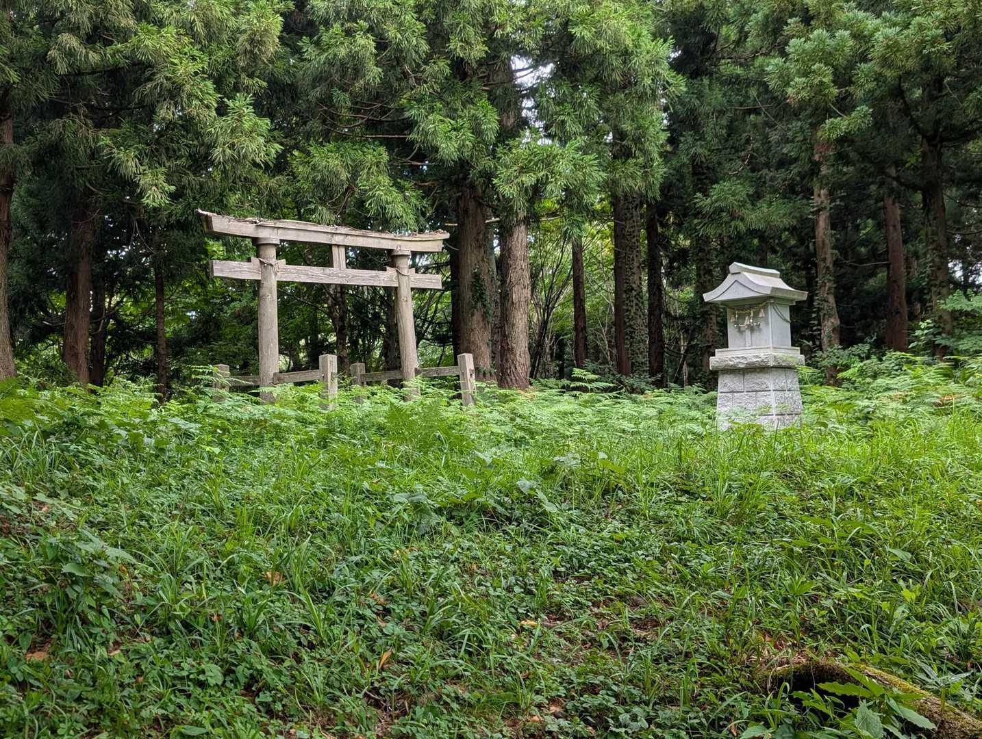 風穴にも！