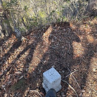 「なに、艦長に挨拶をね」

3peak目の荷鞍山⛰️