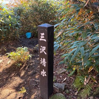 豊富な水量でした🙌